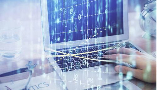 计算机信息技术证办理所需资料与考试内容详解