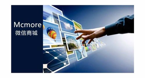 数码电脑企业商情与信息技术发展趋势分析